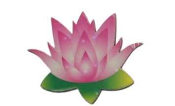 3" Lotus MDF0064