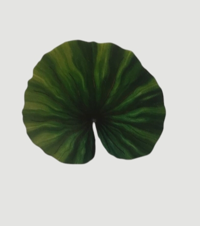 2" Lotus Leaf MDF0069